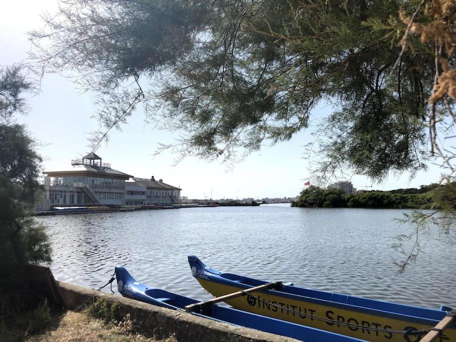 Le Petit Cote Ouest - Appt Dans Les Pins Pres De La Plage レ・サ​​ーブル・ドロンヌ エクステリア 写真