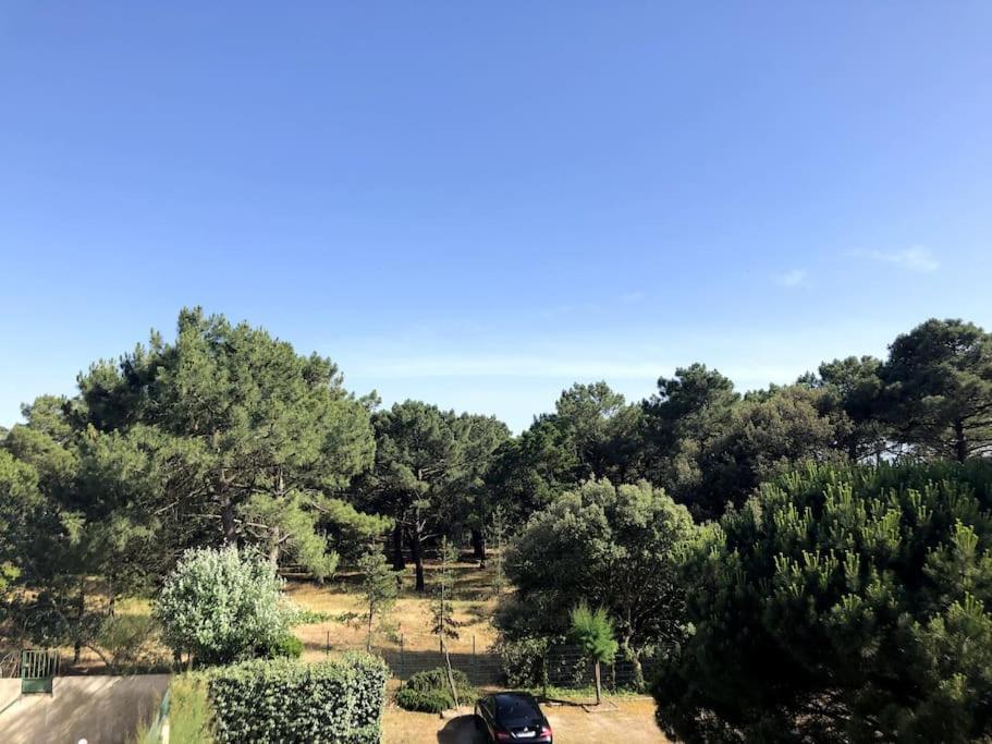 Le Petit Cote Ouest - Appt Dans Les Pins Pres De La Plage レ・サ​​ーブル・ドロンヌ エクステリア 写真