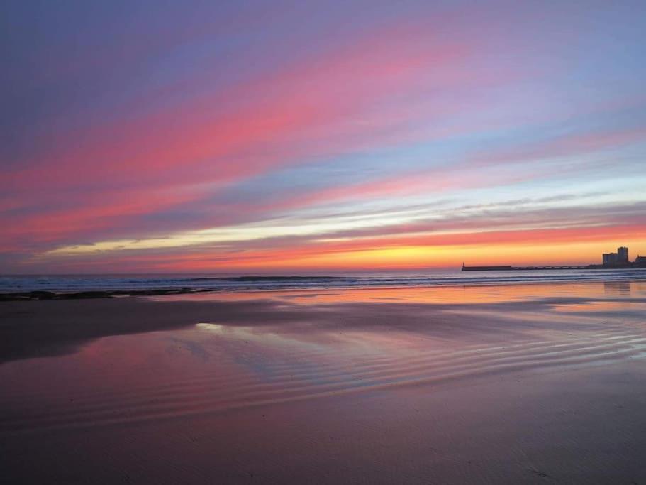 Le Petit Cote Ouest - Appt Dans Les Pins Pres De La Plage レ・サ​​ーブル・ドロンヌ エクステリア 写真